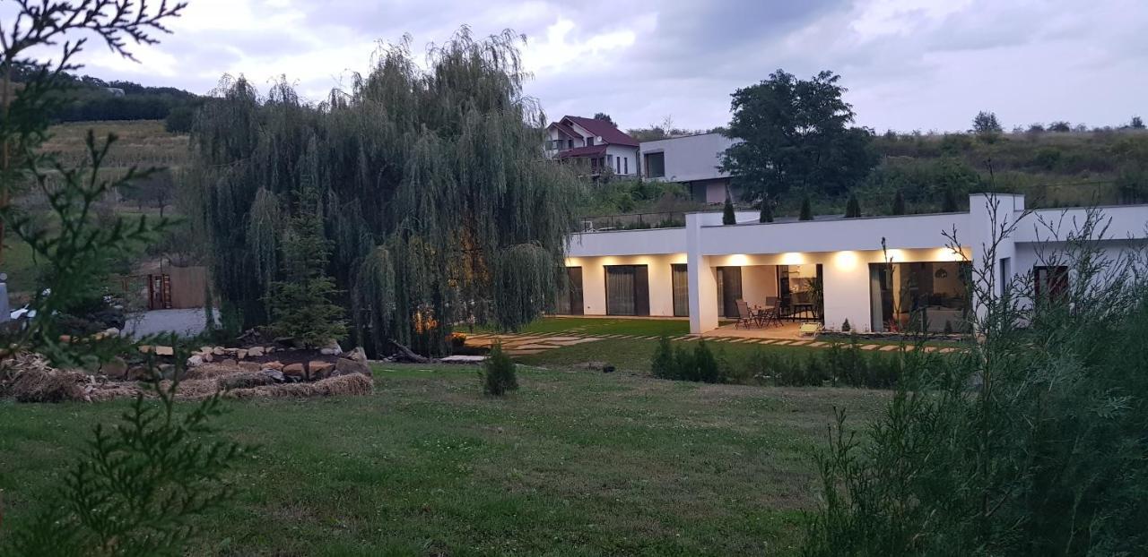 Apartament La Salcia Din Padure Alba Iulia Zewnętrze zdjęcie